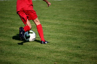 开云体育官方入口-中国足球青训体系引进国际先进训练理念，中国足球青训体系是什么