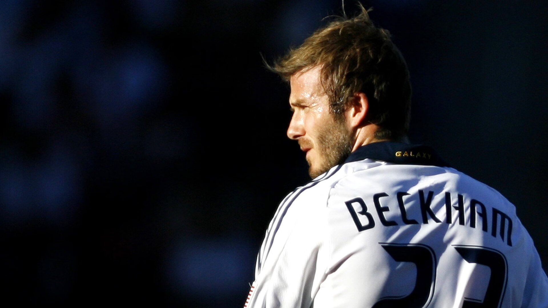 体育新闻中心赛季回顾关注，体育新闻赛事