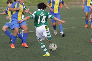 上海申花再遭柔佛新山逆转，1-3失利痛失连胜机会